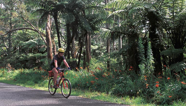 Mnzi-new-zealand-multisport-8